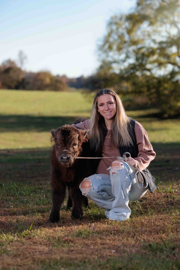 NC Senior Portraits with Highland Cows