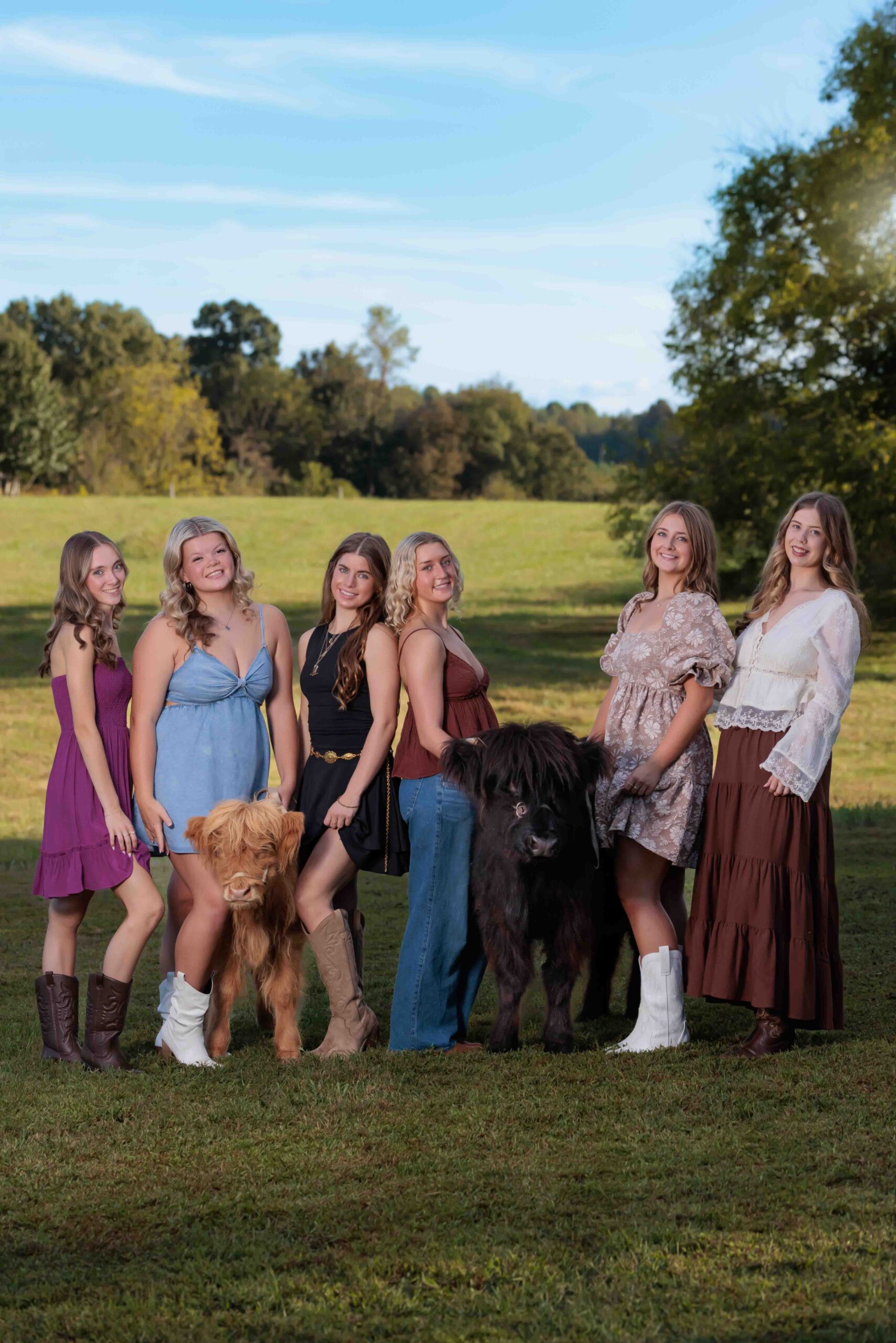 Raleigh Senior Photographer - Highland Cows